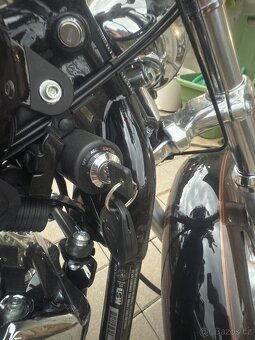 HD sportster 1200 Custom 110th Anniversary edition - 7