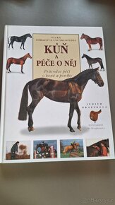 Knížky Babička drsňačka, Lví král, Kůň a péče o něj - 7