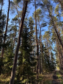 Prodám pozemky v katastrálním území Nemějice - 7