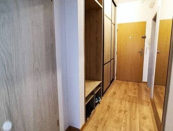 Prodej 2+1 Čéčova, České Budějovice, Pražské předměstí - 7