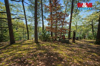 Prodej chaty 18m2, Jívový rybník, osada Jivák, Loučeň - 7