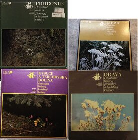 Kúpim/Hľadám LP československé - 7