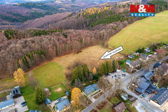 Prodej louky, 8554 m², Zlaté Hory - Rejvíz - 7