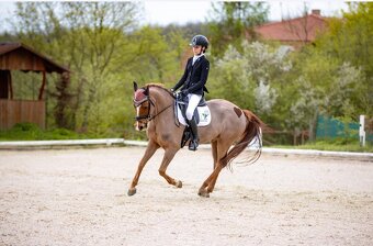 Pony do sportu - 7