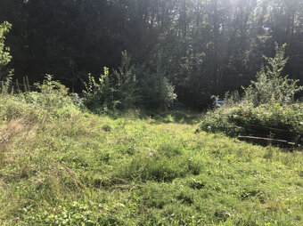 Pozemek se zahradní chatou u lesa 1928 m², Sedliště u Libáně - 7
