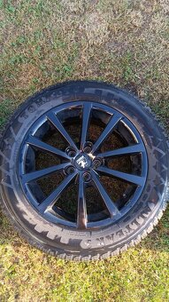 Mg zs - 7