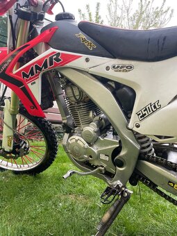 Diabolini MMR 250-2021 - 7