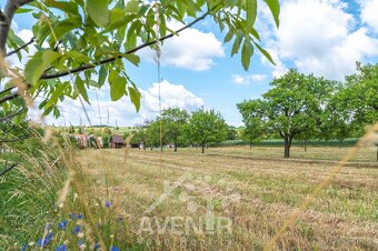 Prodej stavebního pozemku, zahrady a pole - 5 017 m2 - Lačno - 7