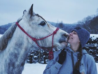 Helma, podbřišník, třmeny, kamaše, parelka - 7
