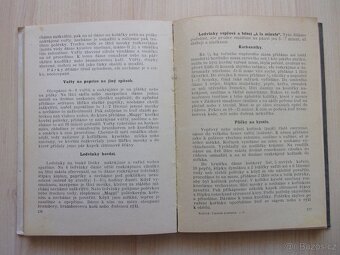 Anuše Kejřová - ÚSPORNÁ KUCHAŘKA - r. 1928 - 7
