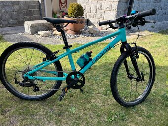 BEANY ZERO 20" - 7