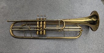 Bastrumpeta Zn. LIDL - 7