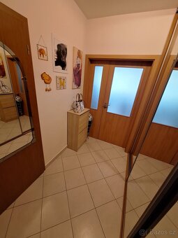 Pronájem bytu 2+kk s terasou a předzahrádkou - 7