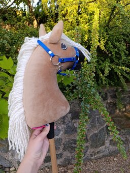 Larden xs hobby horse - 7