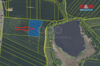 Prodej ovocného sadu, 9979 m², Nové Dvory - 7