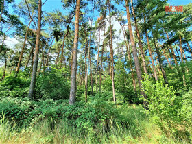 Prodej lesa, 5663 m², Ratíškovice - 7