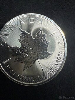 Stříbrná investiční mince Maple Leaf 1 oz - 7