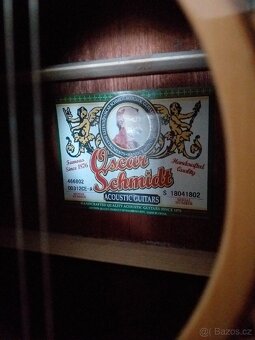 Elektroakusticka dvanactistrunna kytara Washburn - 7