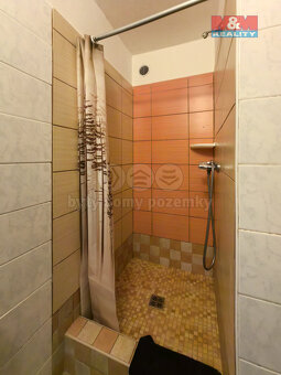 Pronájem ubytovacích prostor rodinného domu, 81 m², Těchonín - 7