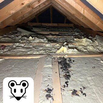 🐀 Deratizace, Dezinsekce, Dezinfekce, Ochrana proti ptactvu - 7