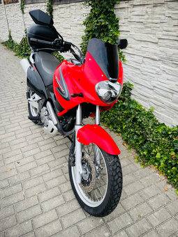 Suzuki XF 650 Freewind r.v.2000 35kW - 7