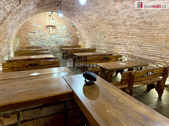 Prodej vinného sklepa v Domaníně - 7