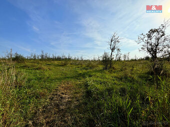 Prodej ovocného sadu, 25918 m², Dolní Nezly u Litoměřic - 7