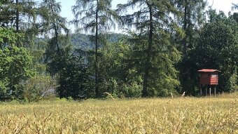 Prodám stavební pozemek o výměře 2 736 m² v kú Zvírotice - 7