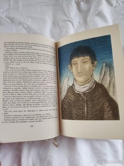 Dělníci moře - Victor Hugo - 7