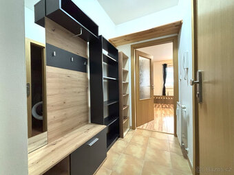 Pronájem bytu 1+kk, Goldscheiderova, Plzeň, Kč/měs, 30 m2 - 7
