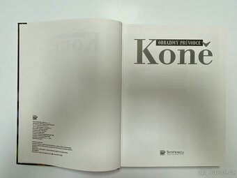 Obrazový průvodce koně - 7