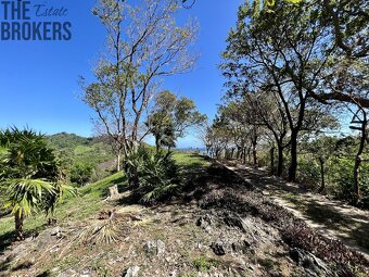LOT 6 Bodden Bight Estate, Roatan - 7