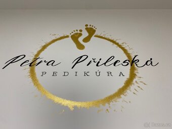 Umělecká malba interiéru. - 7