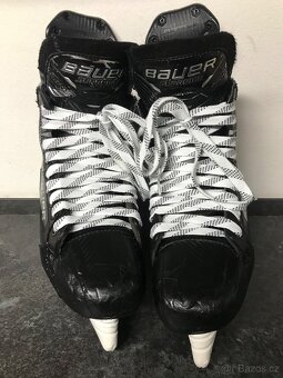 Brusle bauer Mach vel 8(43)fit 2 ,pc 21 tis - 7