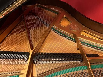 Klavír , křídlo Rosler - Petrof mod.IV.Záruka a doprava - 7