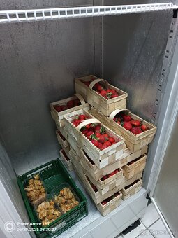 Veliká dvoudveřová profi lednice - 7