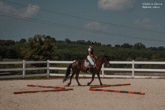 Klisna pony 147khv na rekreaci i sport - 7