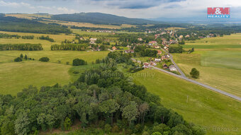 Prodej louky, 4178 m², Dětřichov - 7