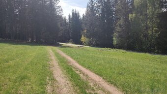Prodej louky o celkové výměře 23 943 m2 nedaleko Frýdavy - 7