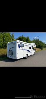 Laika etrusco (Ocean 650) - 7