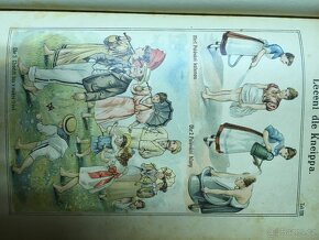 Bilzovo nové léčení přirozené první vydání 1897 - 7