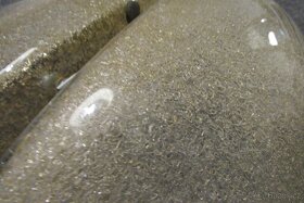 Bra Kolarz Murano - 7