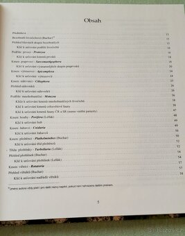 KLÍČ K URČOVÁNÍ BEZOBRATLÝCH - 7