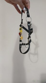Hobby horse - 7