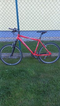 Maxbike 19 - 7