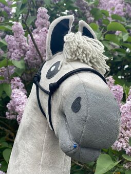Hobby horse - 7