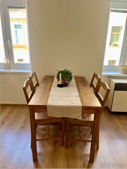 Pronájem bytu České Budějovice 1+1 40 m² centrum - 7