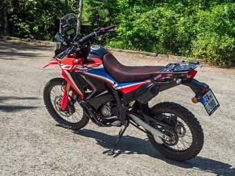 Honda CRF300 Rally ABS, 2024 - 7