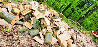 Akce - levné palivové dřevo ,Hranice Opava Krnov Bruntál - 7