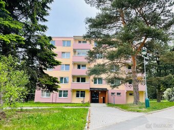 Pronájem, byt, 2+1, 56 m², Březinova, Jihlava - 7